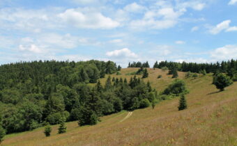 Wejście na najwyższy szczyt Jaworników – Wielki Jawornik