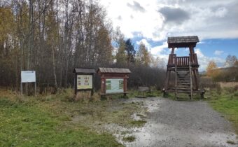 Rozhľadňa na Klinskom rašelinisku