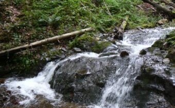 Vodopády Pivovarského potoka