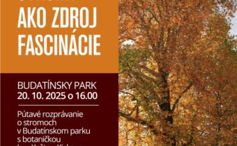 Stromy ako zdroj fascinácie